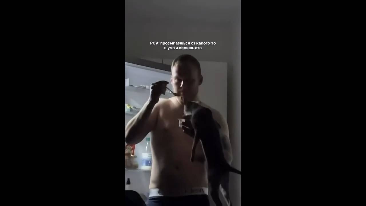 #смешныевидео -622 смотреть онлайн