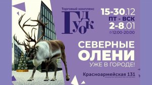 Гудок "Северные Олени", г.Самара, время 19:00, 7 января 2026г.