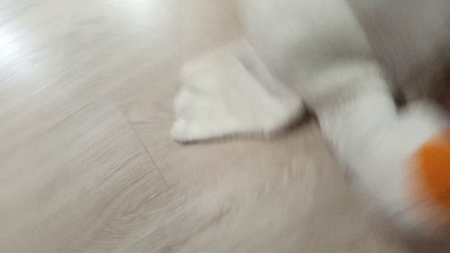 Педро пе смотреть онлайн