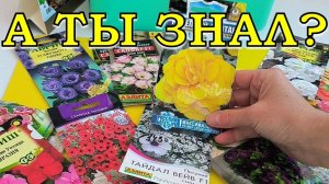 ЦВЕТЫ 2026: ПЛАН ПОСЕВА на год  🌸🌹⚘🌻 💮