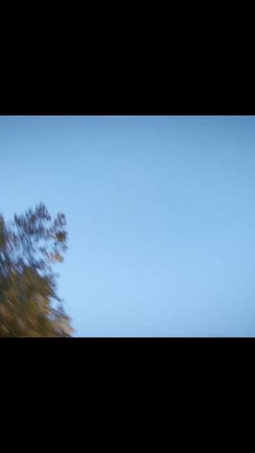 0106 (5)(16) смотреть онлайн