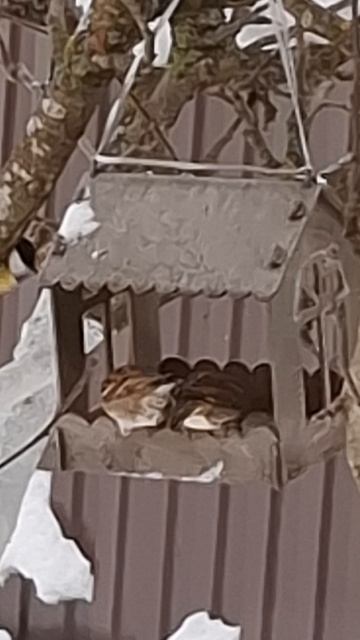 По семейным обстоятельствам