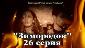 Впечатления от 26 серии турецкого сериала "Зимородок"