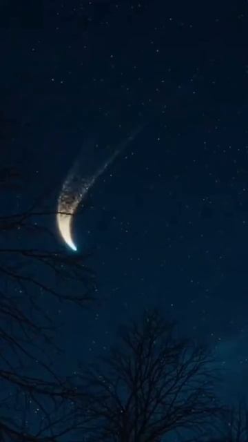 Самая счастливая звезда!!! #звездопад #звездаупала #желания #пьянка #пьянство #любовь #отношения смотреть онлайн