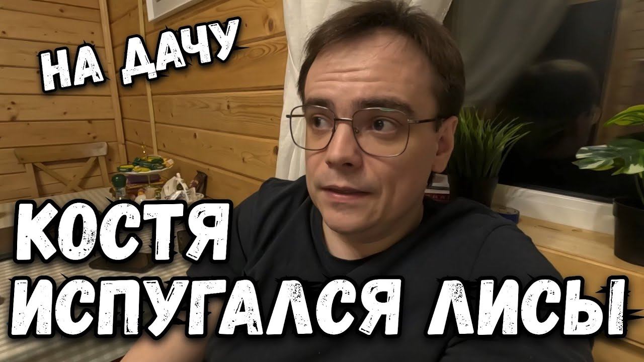 Костя испугался бешеной лисы на даче. Дачный влог о загородной жизни и шашлыки. Дачный сезон 2024 смотреть онлайн