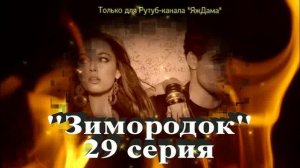 Впечатления от 29 серии турецкого сериала «Зимородок»