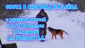 ОХОТА В СНЕГОПАД НА ЗАЙЦА с русской гончей  ч.п/ч Сигналом (Плакуней) вл. Шатров В.А.#топ #hunting