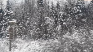 Возвращение из Калининграда домой