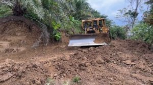 Ремонт дорог на плантациях масличных пальм с помощью CAT D6R XL