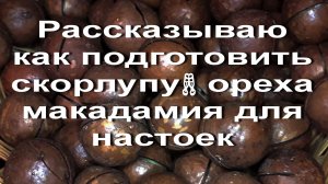 Рассказываю как подготовить скорлупу🥂 ореха макадамия для настоек