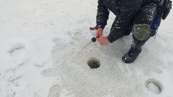 Светлые Горы Форель5 07.01.2026г.