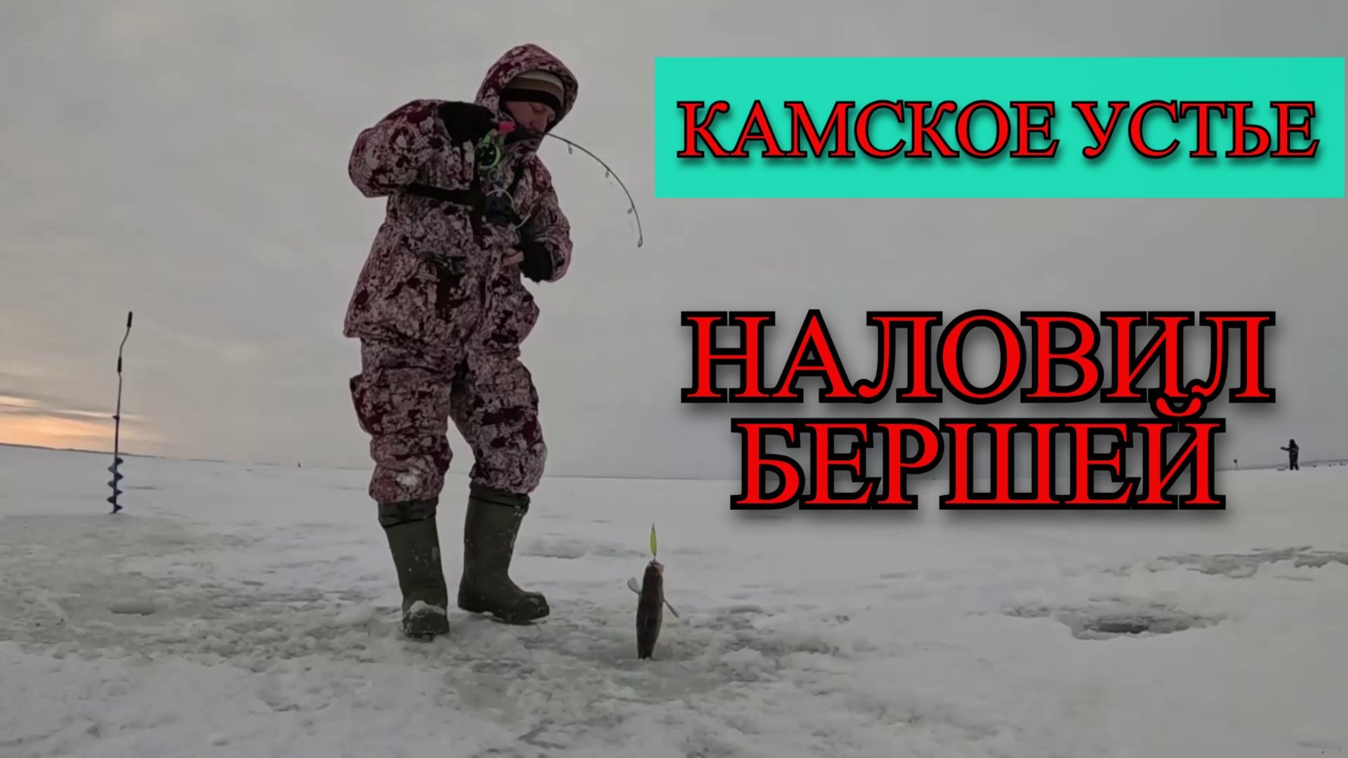 НАЛОВИЛ КУЧУ БЕРШЕЙ. КАМСКОЕ УСТЬЕ. МОЙ ТРОФЕЙНЫЙ БЕРШ.