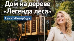 Дом на дереве «Легенда леса» | Санкт-Петербург
