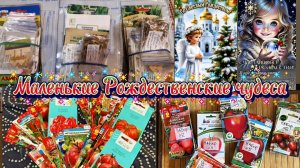 Подарочные наборы семян для зрителей.С Рождеством Христовым.🙏🙏🙏