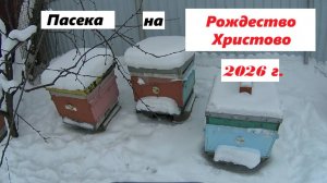 Пасека на Рождество Христово 2026 г.