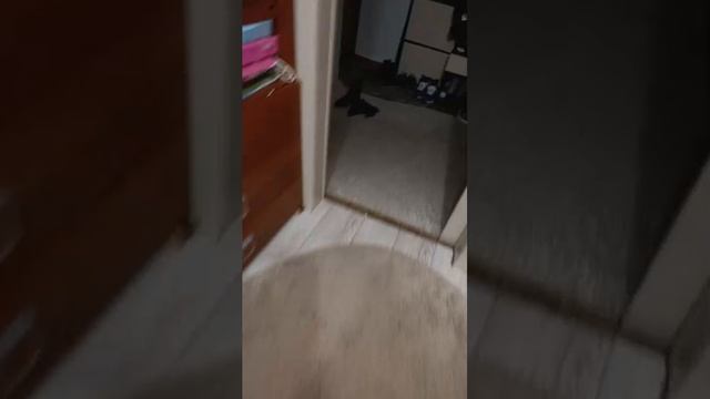 Кузя смотреть онлайн