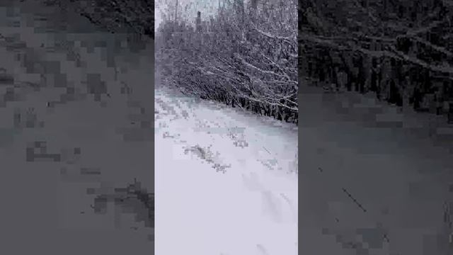 Всех с Рождеством смотреть онлайн