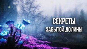 Skyrim Секреты и Тайные места Забытой Долины