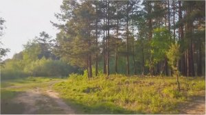 ЭТА МУЗЫКА ПРОСТО ВЕЛИКОЛЕПНА! ОНА НАПОЛНЯЕТ ДУШУ ТЕПЛОМ И РАДОСТЬЮ