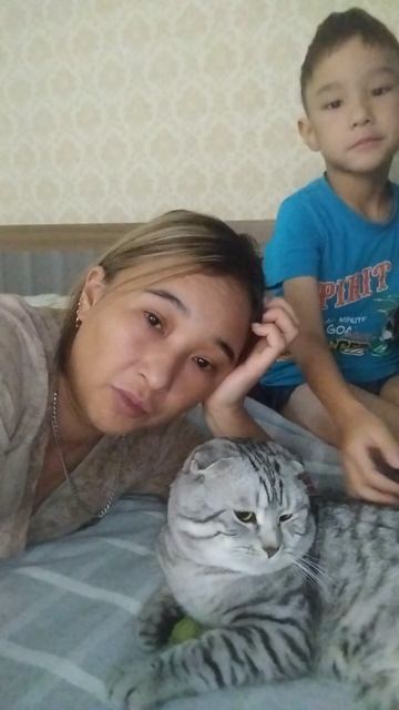 я в шоке 😭 соседка напала на моего кота что делать смотреть онлайн