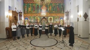 Хор матушек Тольяттинской Епархии поздравляет с Рождеством Христовым!