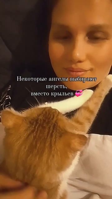 Пушистые ангелы 😻