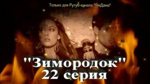 Впечатления от 22 серии турецкого сериала "Зимородок"