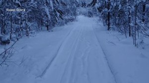 КАК МОЖНО БРОСИТЬ КУРИТЬ? ЭТО НЕ ЛЕГКО, НО ВОЗМОЖНО. 04.01.26