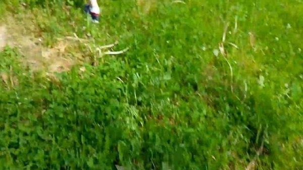 Серия 8 (Житель орун, Овечка орун и Длинноногий) - Secret Kolya Corporation