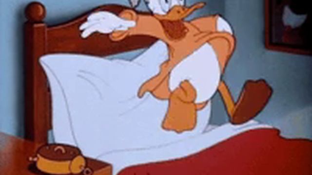 1000024389.mp4 смотреть онлайн