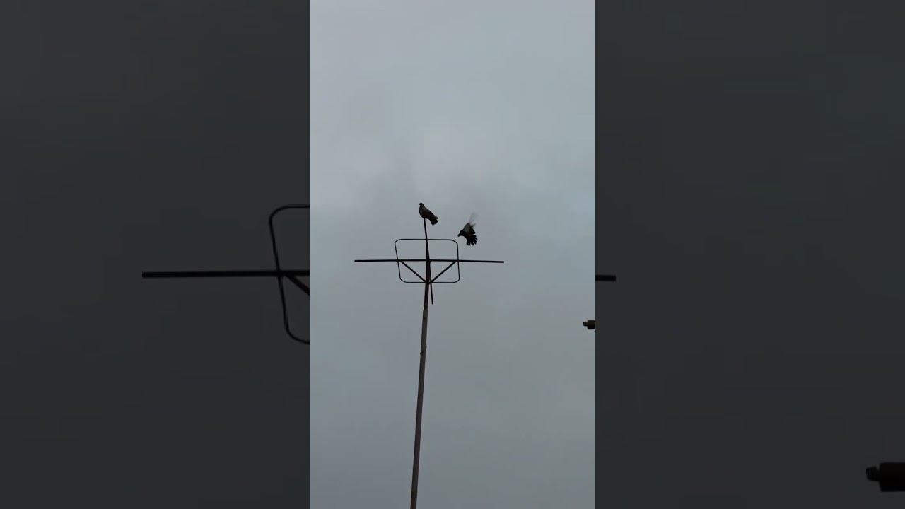 24.12.2025. Собираются...