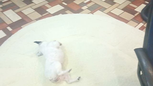 Купили вакуумные пакеты для одежды