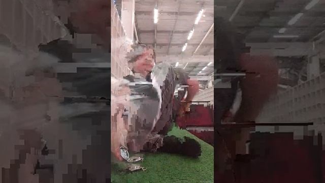 мы в парке смотреть онлайн