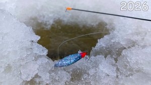 Рыбалка на блесну в январе. ТУТ ВЕСЬ КОРЯЖНИК ШЕВЕЛИТСЯ В РЫБЕ. Окунь зимой в 2026