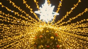 Артоскетч (2025.12.31) Ялта