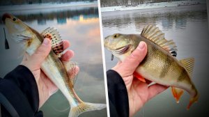 Январь 2026 Новогодняя МР