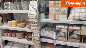 Новинки в Галамарте (январь 2026)