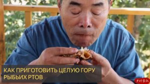 Самая недооценённая часть рыбы! Тушётая рыбья пасть в остром чили-бульоне!  Дядя Деревенский Гурман