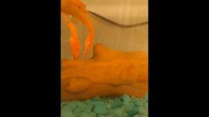 воспаминания 😞