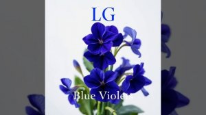 Лали Гордзамашвили (Lali Gordzamashvili) - Blue Violets
