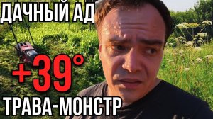 Тепловой Удар на Даче! Трава Выросла за 5 Дней? (Косить в 39° Ад)