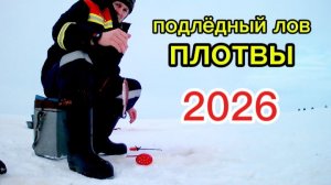 Зимняя рыбалка на плотву, хороший клёв