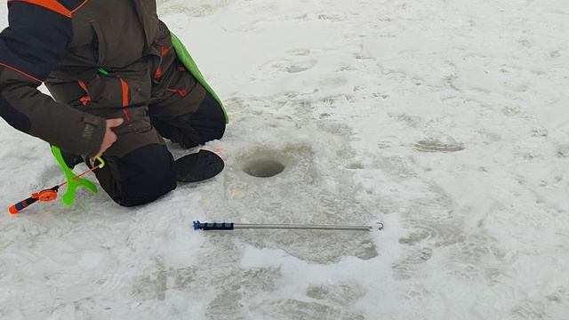 Основной водоём. На пасту. смотреть онлайн