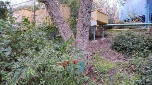 Ялта, санаторий Кирова