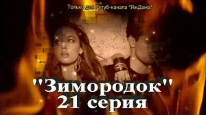 Впечатления от 21 серии турецкого сериала «Зимородок»