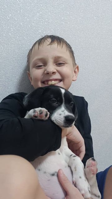 Смеемся.Говорит Николай 6.01.2026