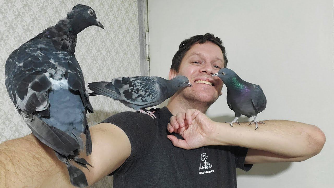 День с животными. Уборка и кормление