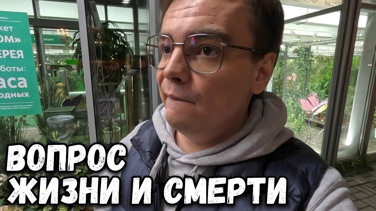 Тайный рецепт ИДЕАЛЬНОГО ночного перекуса смотреть онлайн