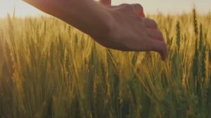 Мадлен Хайдарова - Ты больше