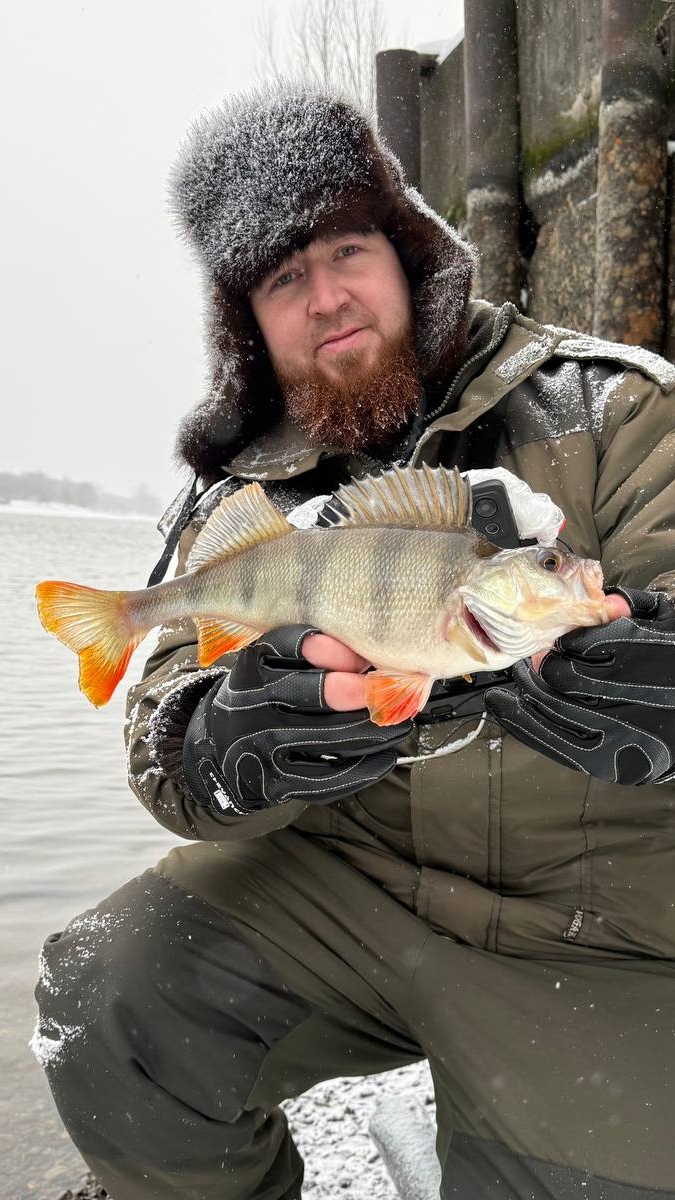 СЕГОДНЯ ПОЙМАЛИ 7 РЫБ/КИНО СКОРО НА КАНАЛЕ смотреть онлайн